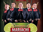 MARIACHI AGUILAS DE ORO